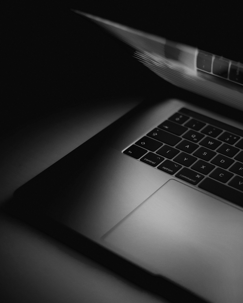 The solution:<br />an integrated<br />ecosystem and<br />executive mentoring